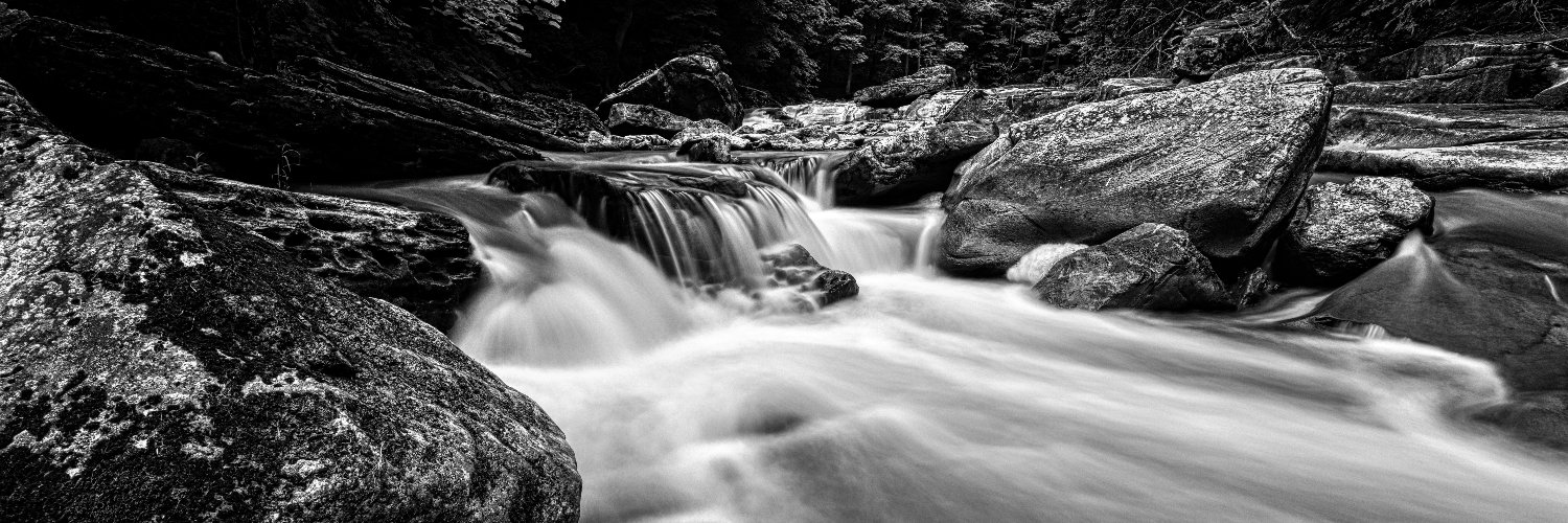 Michael Osborne banner