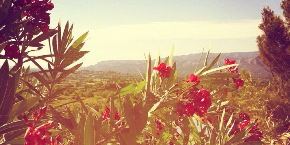 lucypens's profile banner image