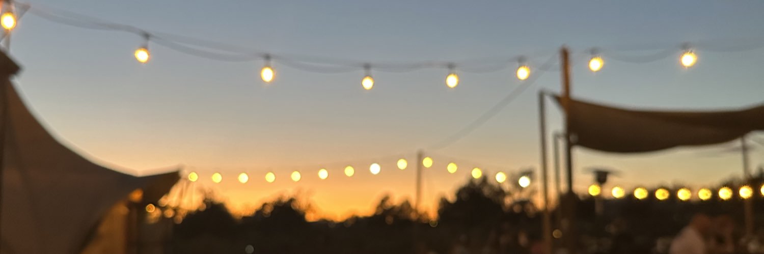 Tamara Siddiqui banner