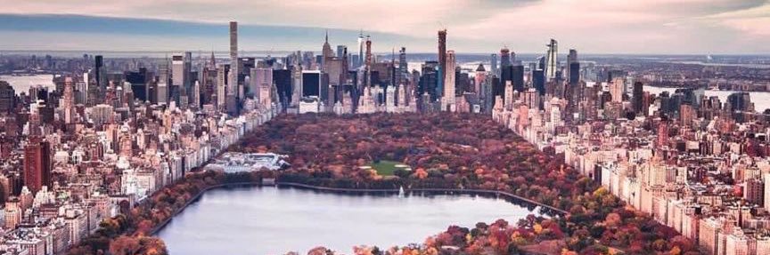 Dominique Elast banner