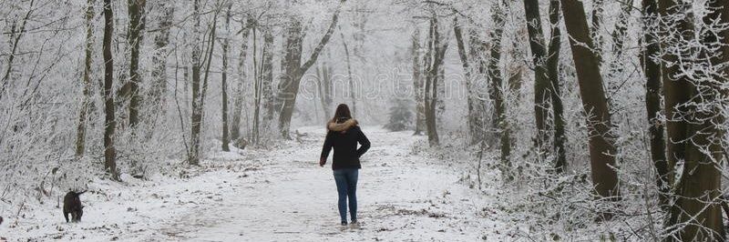 AnnStorrie's profile banner image