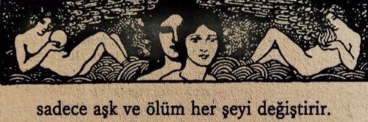 nil_diyorki's profile banner image