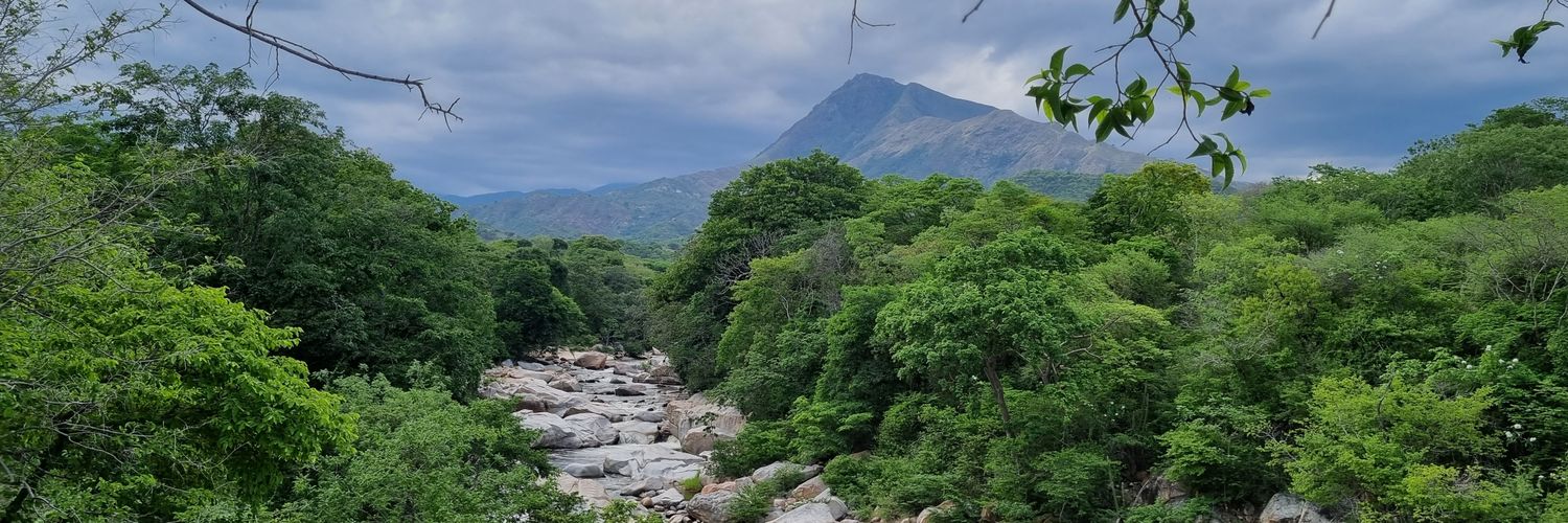 Papodavo's profile banner image