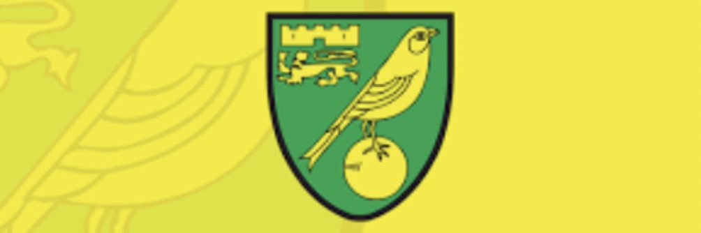 fplcareless's profile banner image