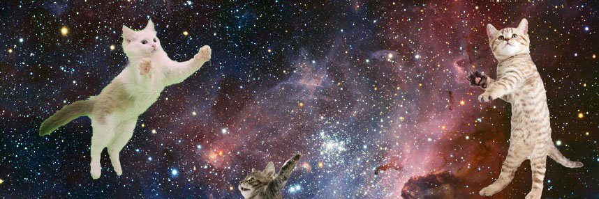 7of9Lives's profile banner image