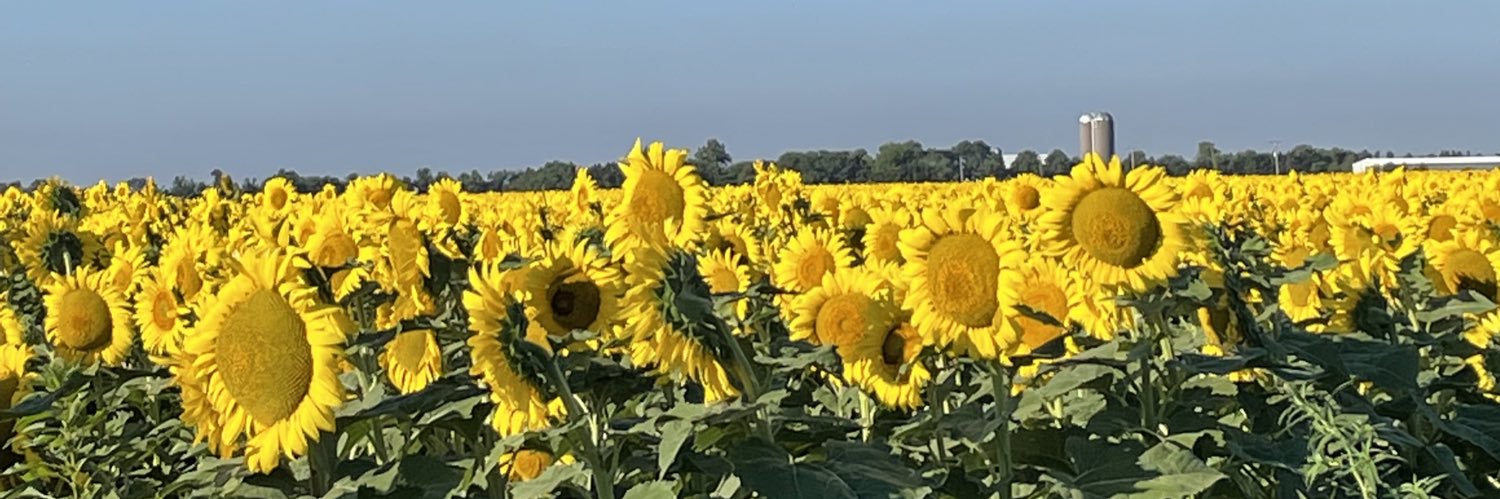 k_m8101's profile banner image