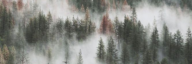 casehankins's profile banner image