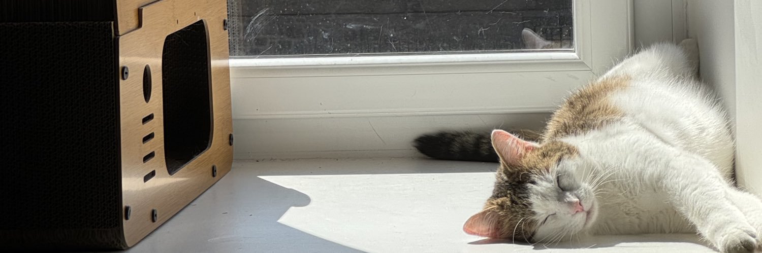 TheophileG1's profile banner image