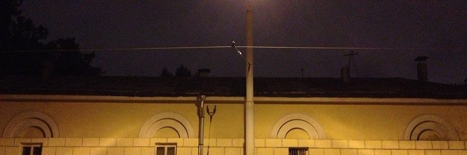 Isabelle Cornaz banner