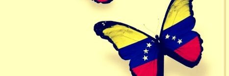 la loly banner