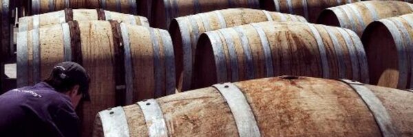 puntrdwines Profile Banner