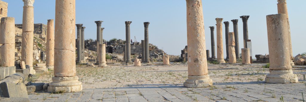 Dr. Jennifer Leip banner