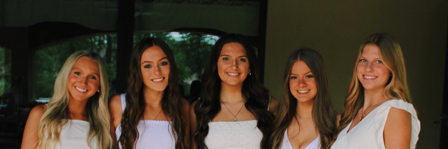 lainey leigh liggett banner