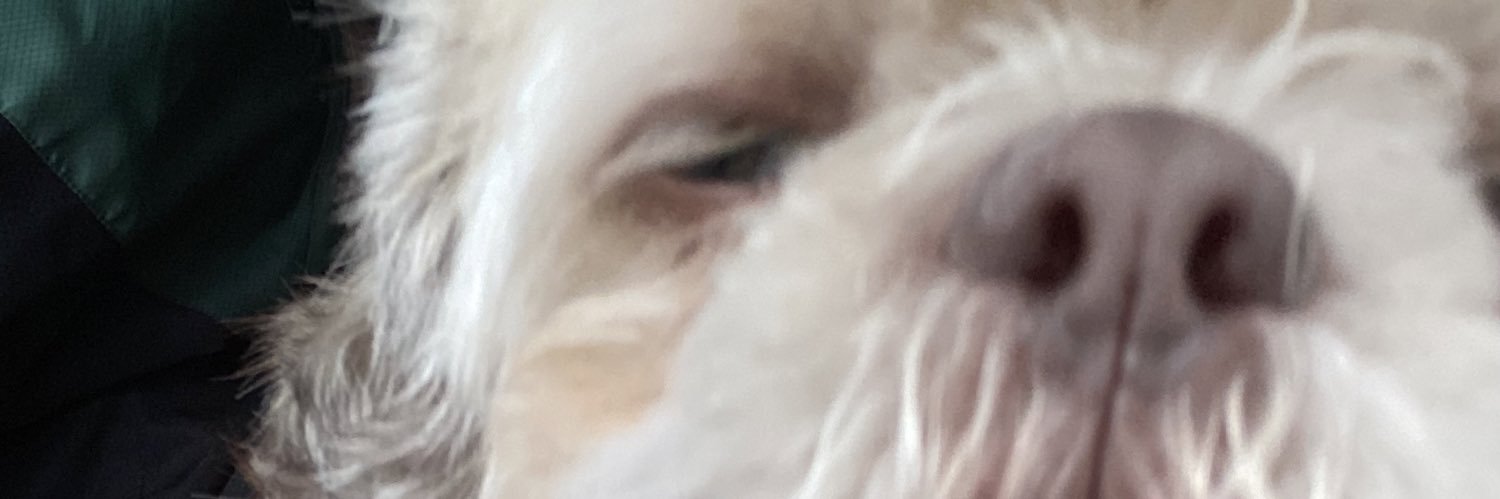 _eelync's profile banner image