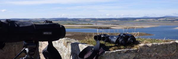 PawsonTerry Profile Banner