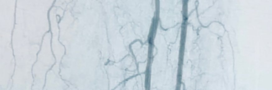 ladra_1's profile banner image