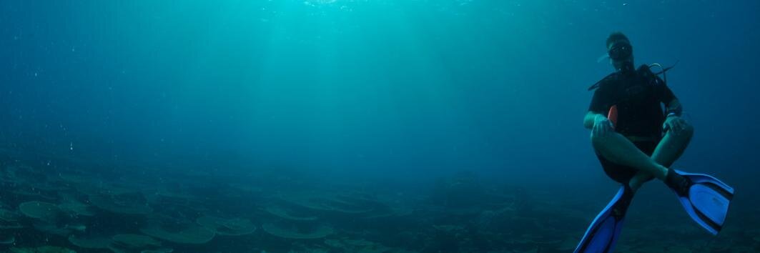 Milan Dobrosavljevic banner