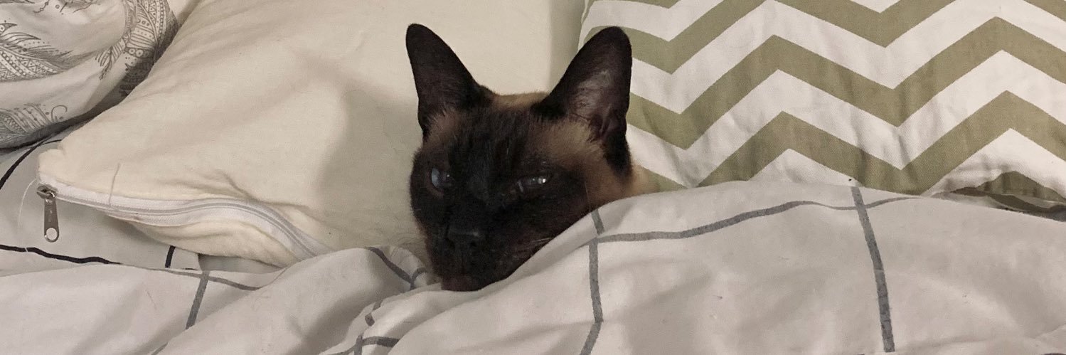 gabrielacsn's profile banner image