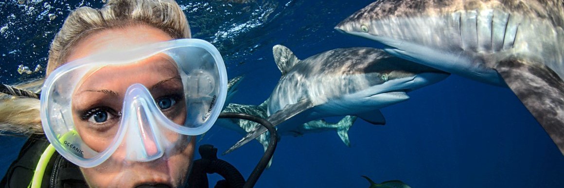 Oceanic banner
