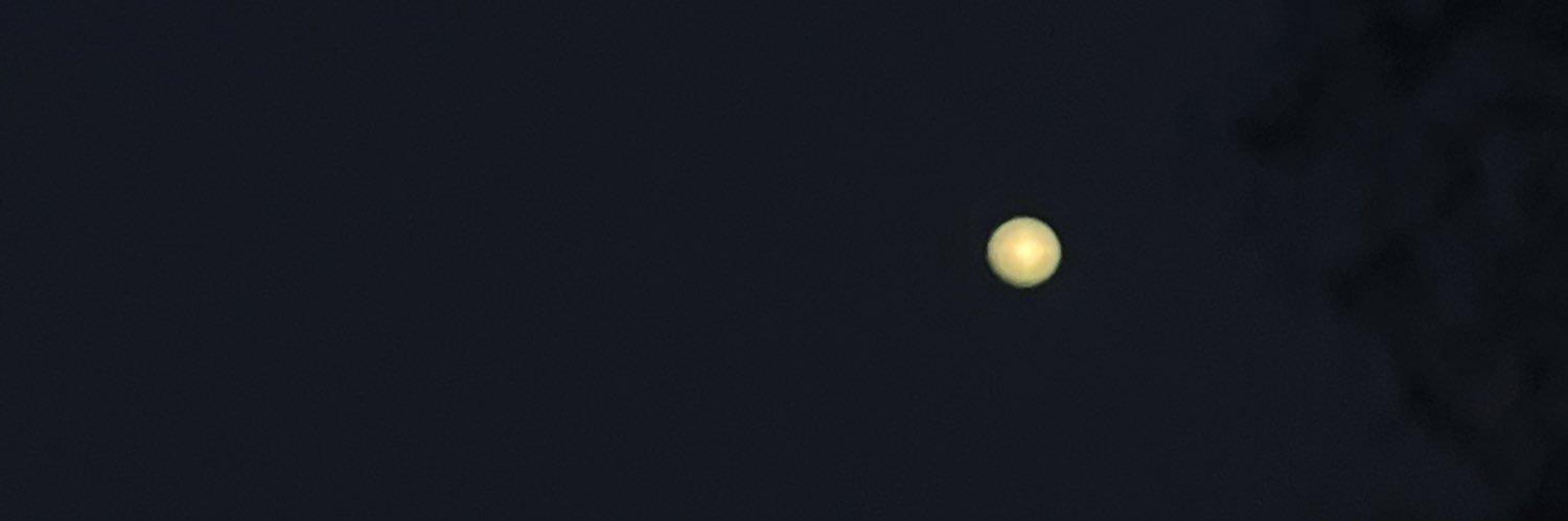 Canceledtweet's profile banner image