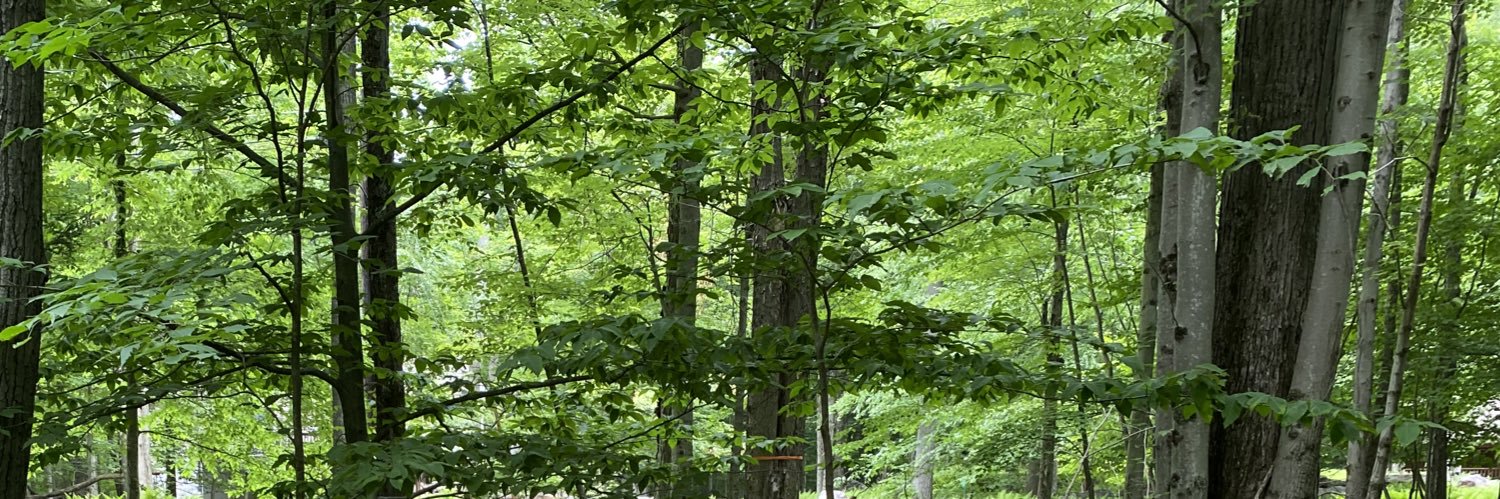 KEL5S's profile banner image