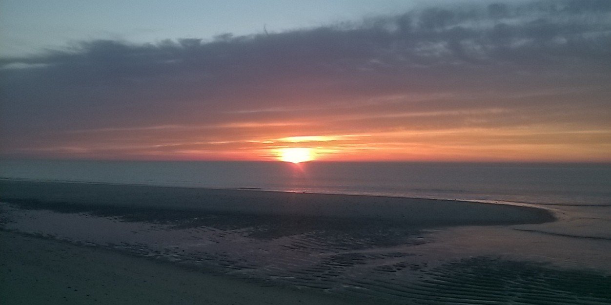 Zoop 🐟(HydrappleRespector) banner