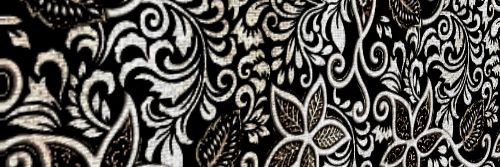 AlpanScoot's profile banner image