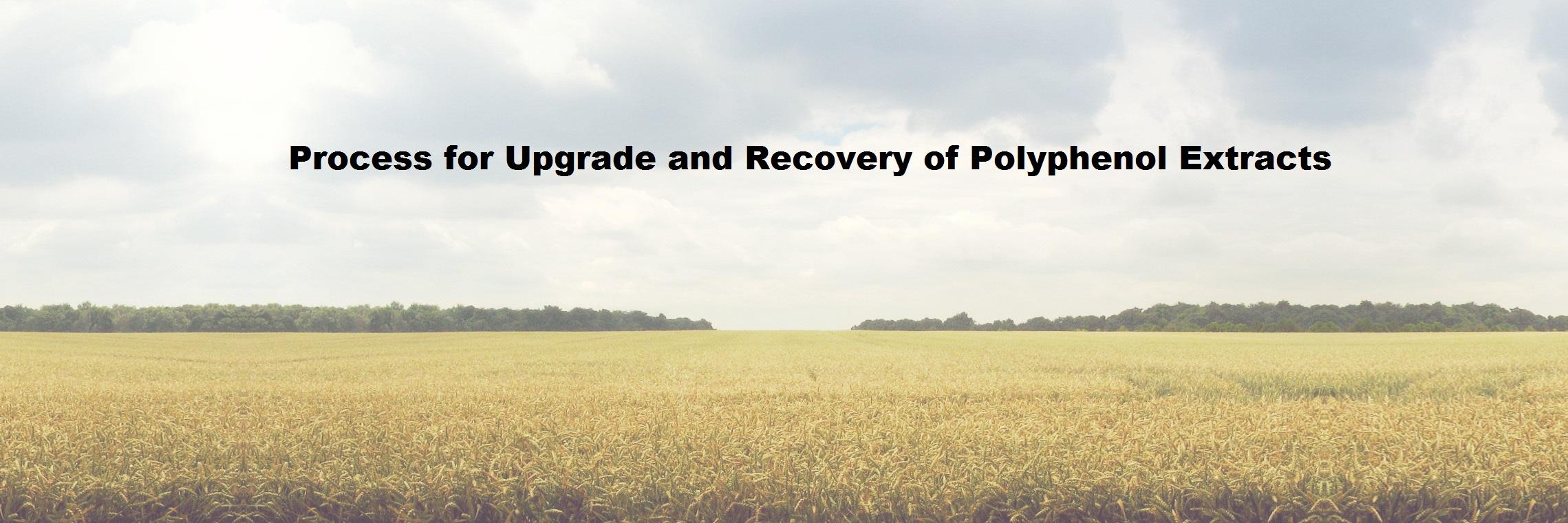 PUReOPE's profile banner image