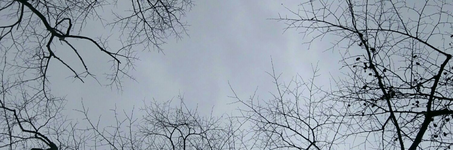 MeteHaydaroglu's profile banner image