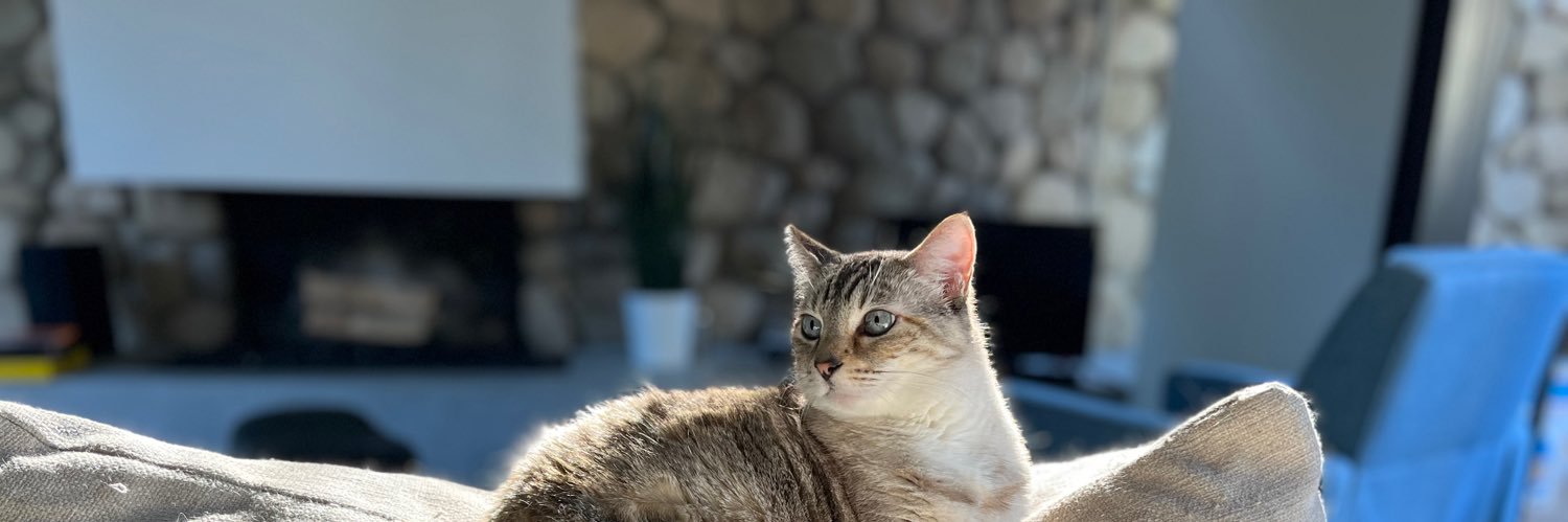 MzLizz4's profile banner image
