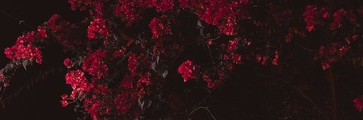 artiegraay's profile banner image