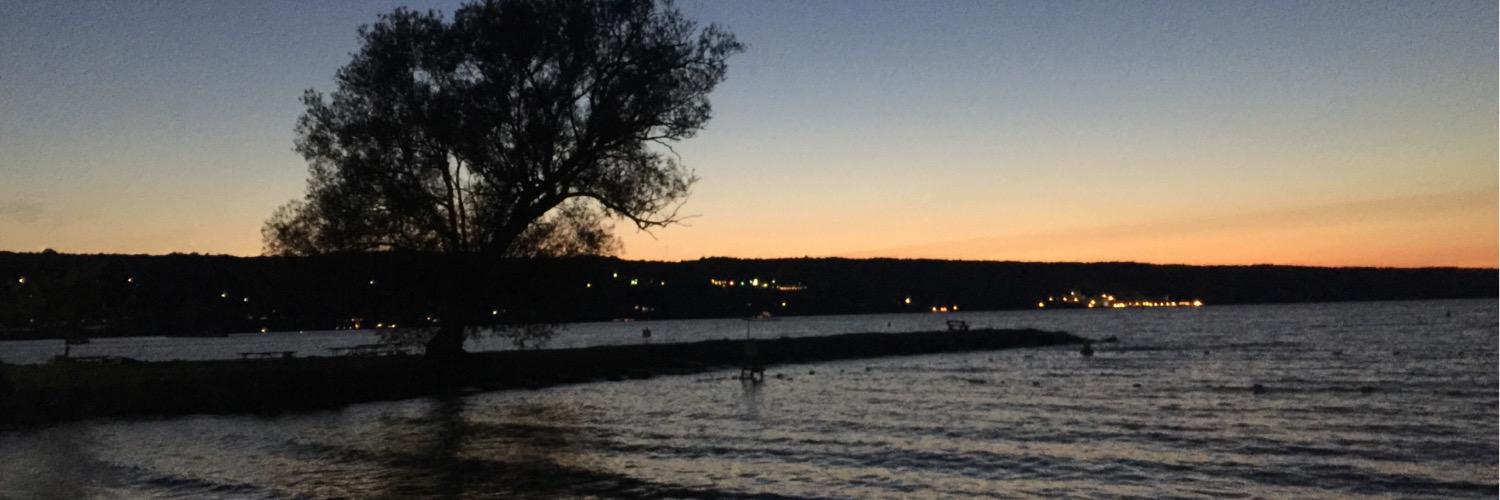 danielle pigneri banner