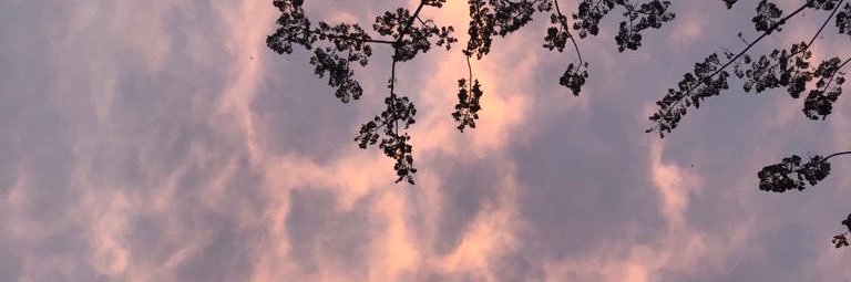 stefybernal's profile banner image