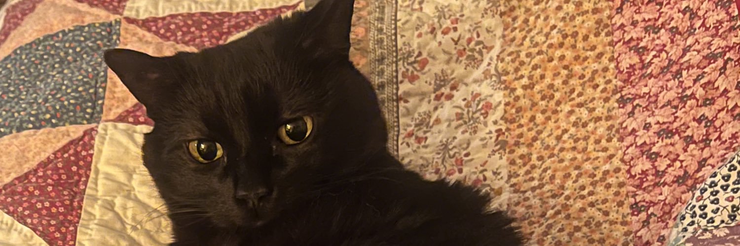 julez banner