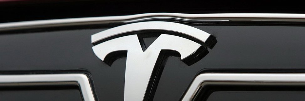 tesla lion banner