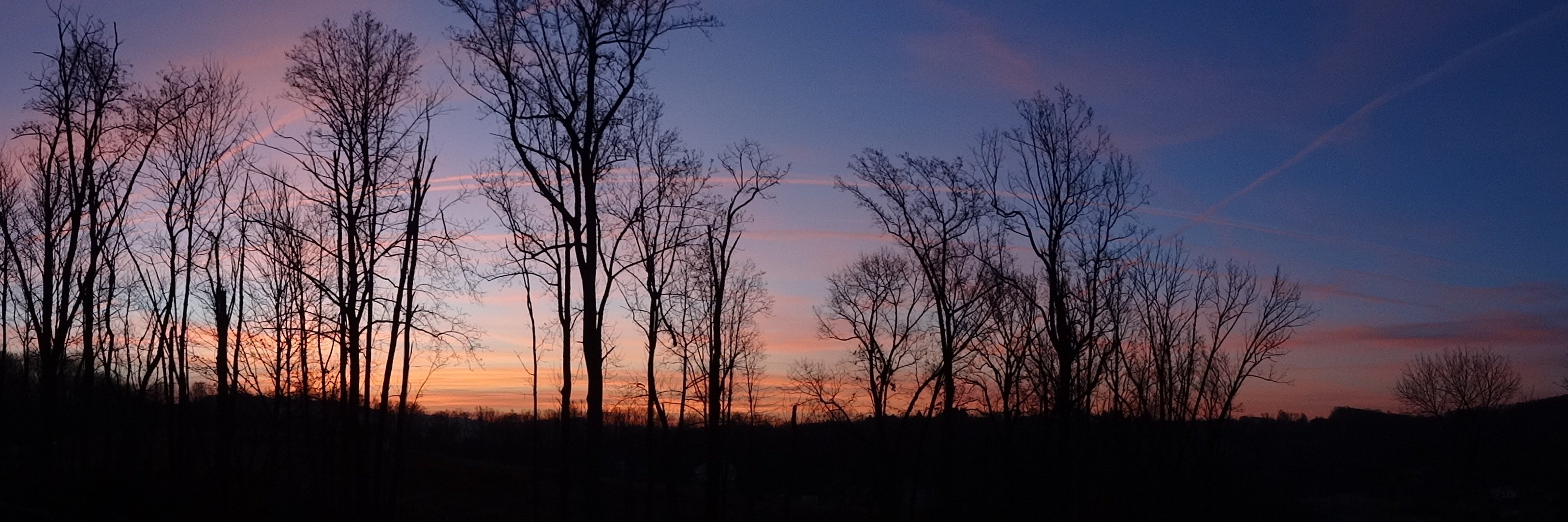 amy_VT_hogan's profile banner image