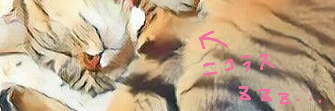 nikonekosabu's profile banner image
