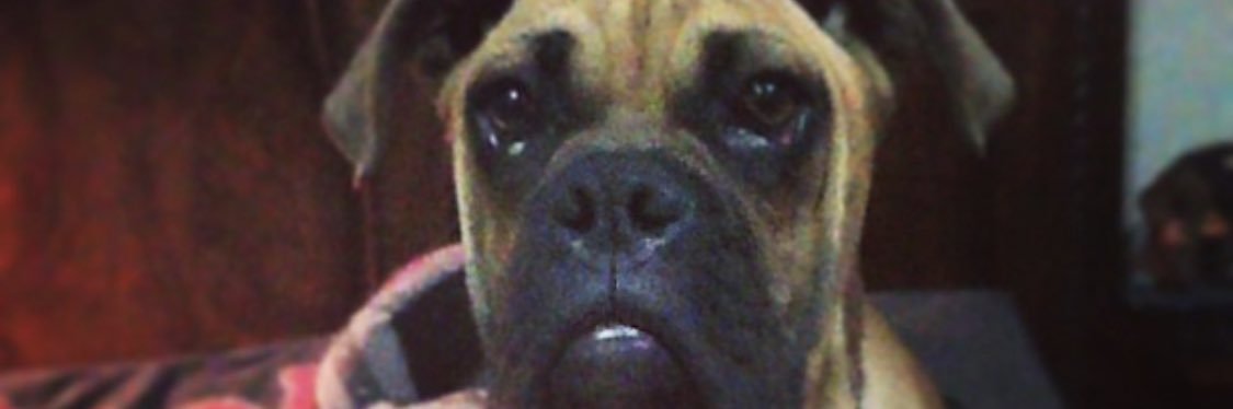 jocrra13's profile banner image