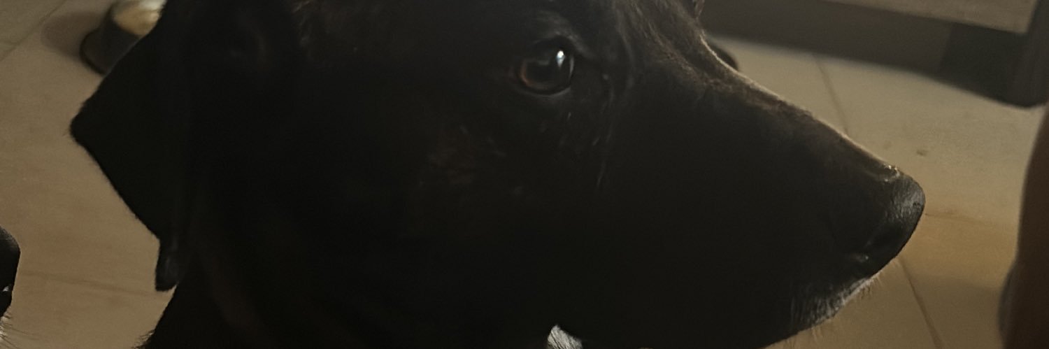 danmpunk's profile banner image