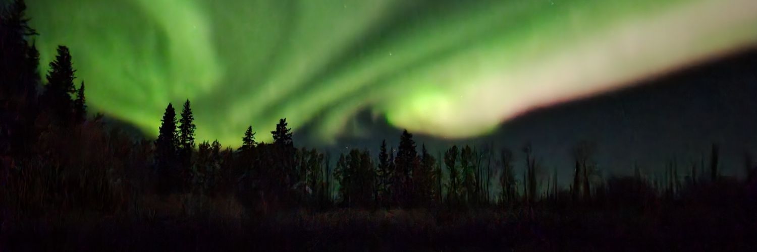 Emily L Ogden banner