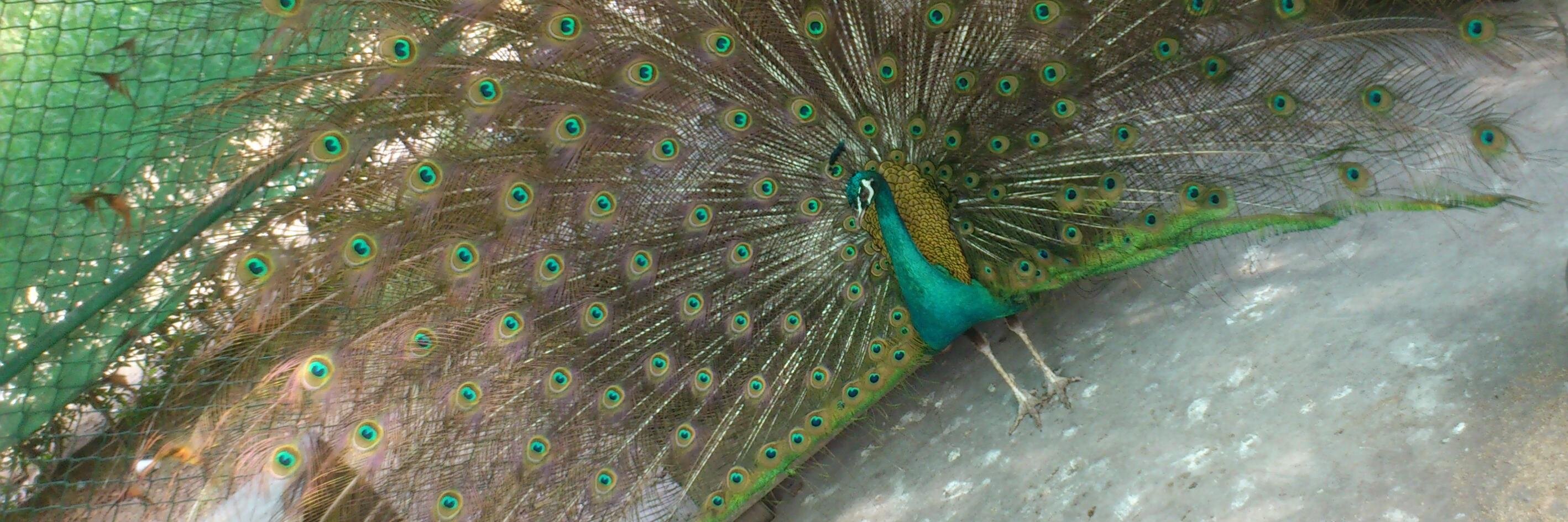 shaanzz's profile banner image