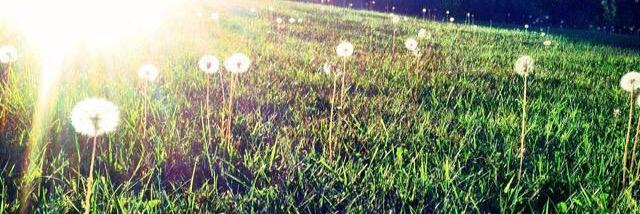 ragazza831's profile banner image