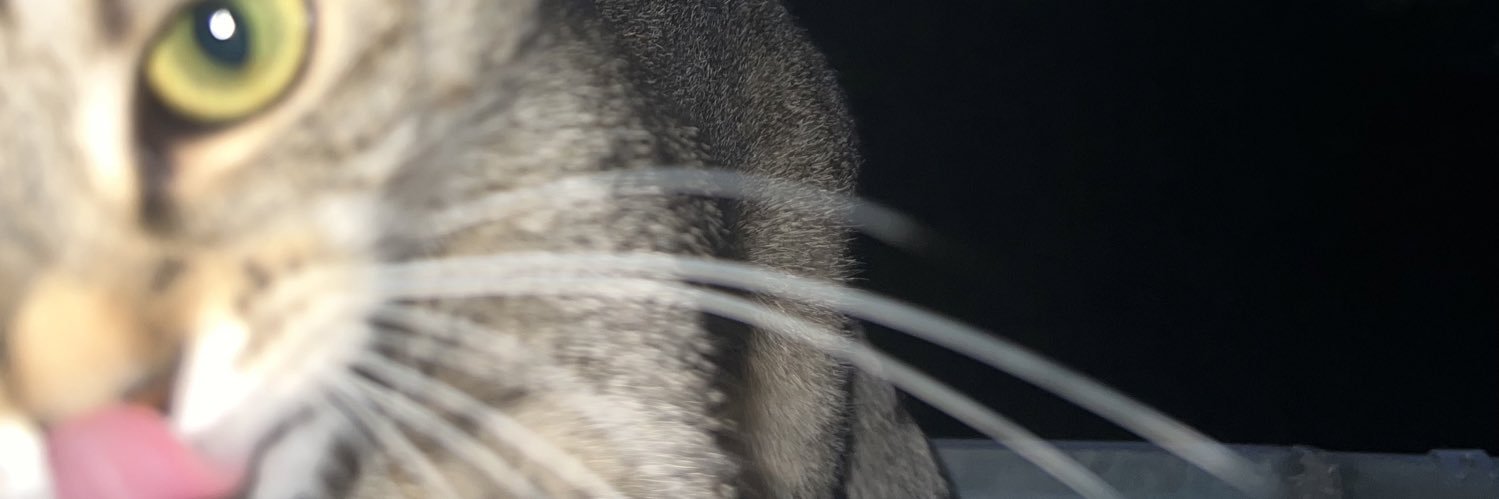 de_reunion's profile banner image