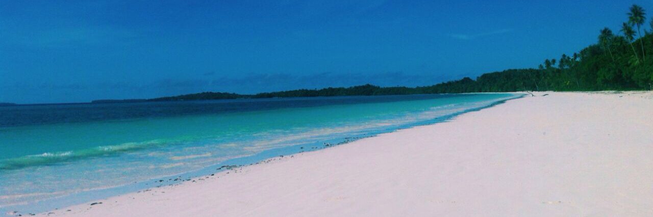 agustineirma's profile banner image