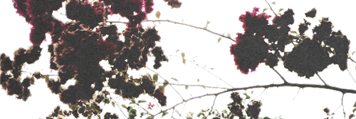 xHarriet_TMG's profile banner image