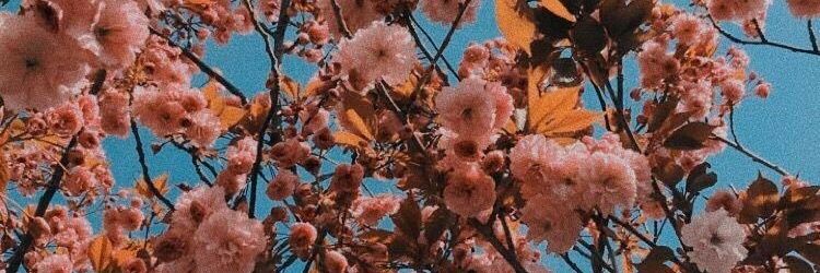 deldro's profile banner image
