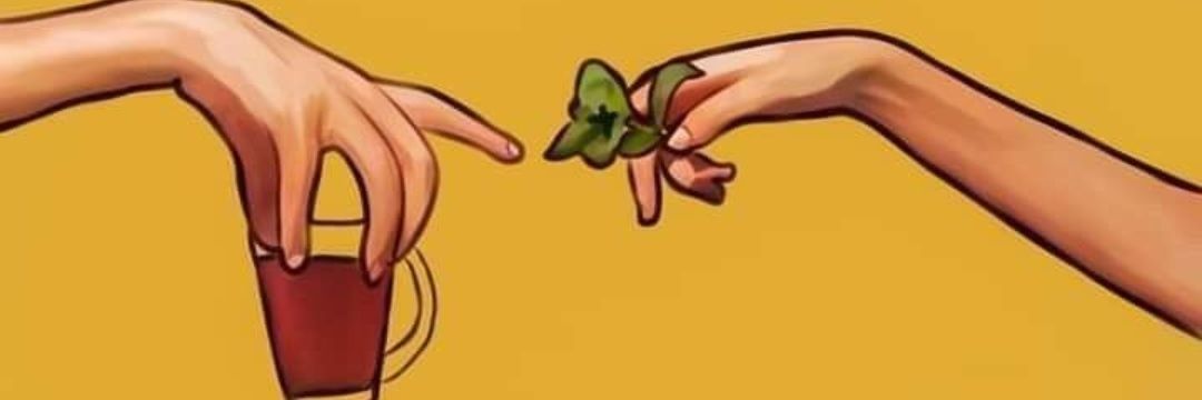 Sherry__amgad's profile banner image