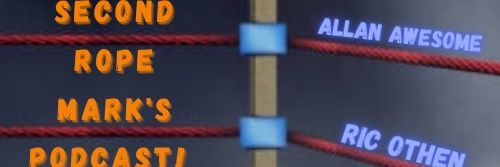 Mr. Amazing Allan Awesome's banner