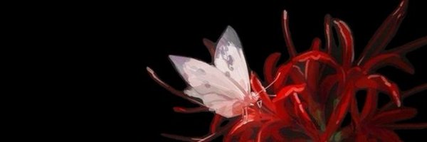 Chaotic_Elle_ Profile Banner