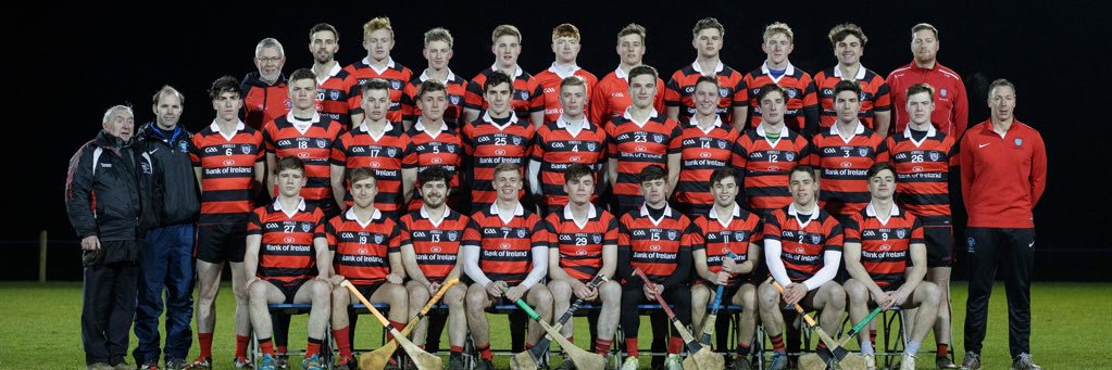 Trinity Hurling banner